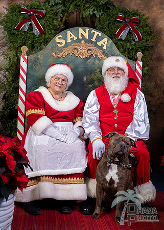 SantaPaws2022-646