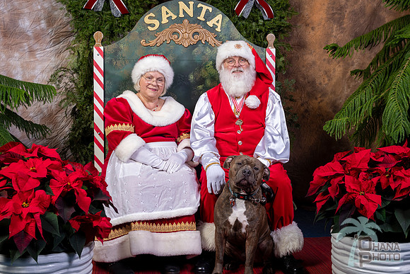SantaPaws2022-647