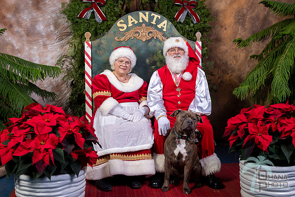 SantaPaws2022-649