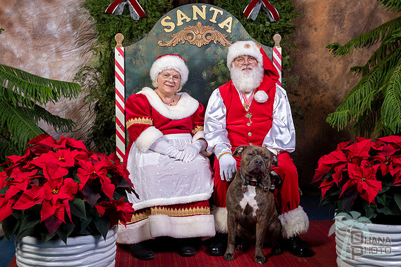 SantaPaws2022-648