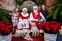 SantaPaws2022-673