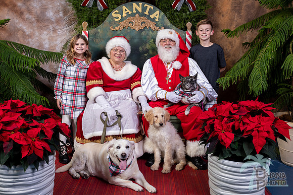 SantaPaws2022-673
