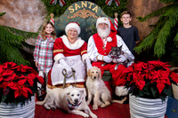 SantaPaws2022-672