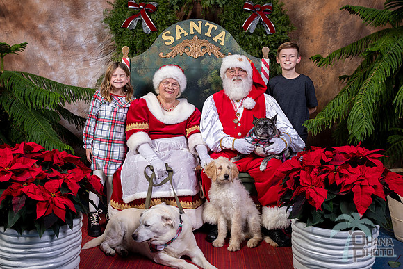 SantaPaws2022-675