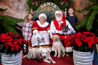 SantaPaws2022-676
