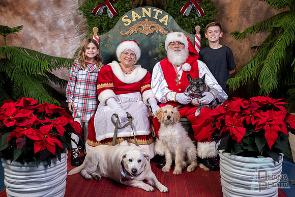 SantaPaws2022-676