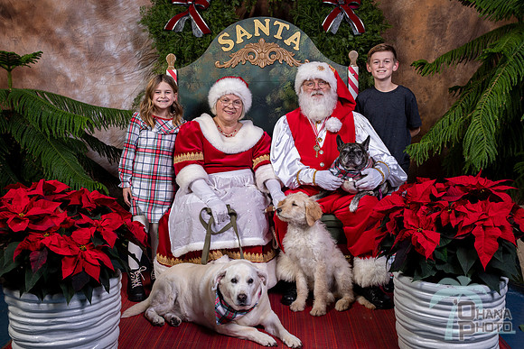 SantaPaws2022-677