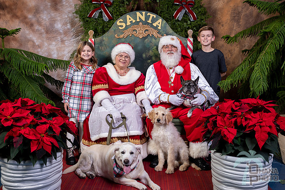 SantaPaws2022-678