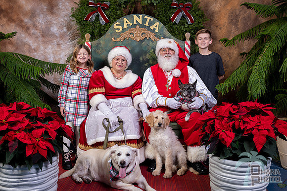 SantaPaws2022-679