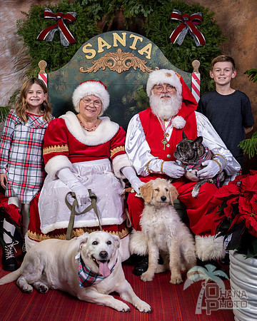 SantaPaws2022-681