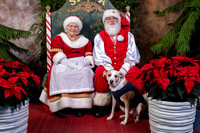SantaPaws2022-699