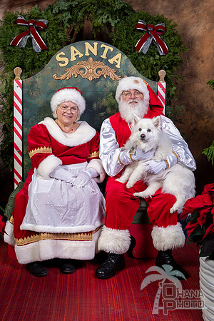 SantaPaws2022-715