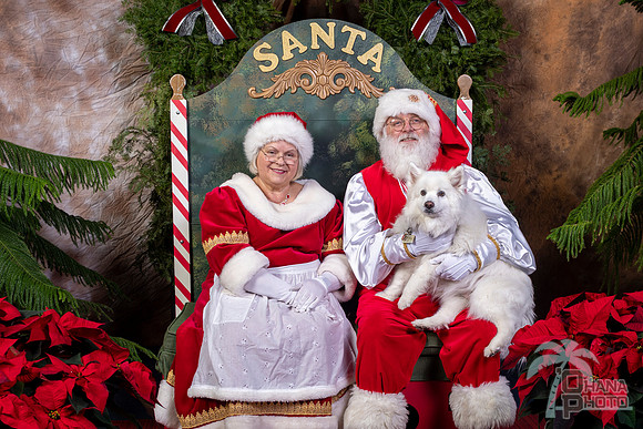 SantaPaws2022-714
