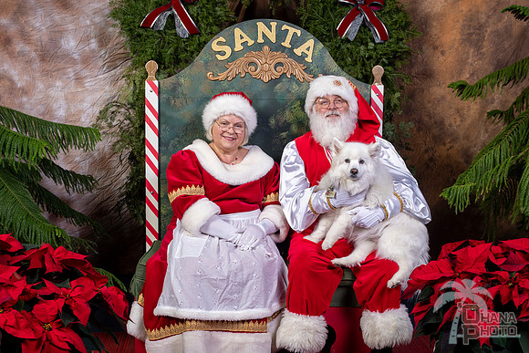 SantaPaws2022-713