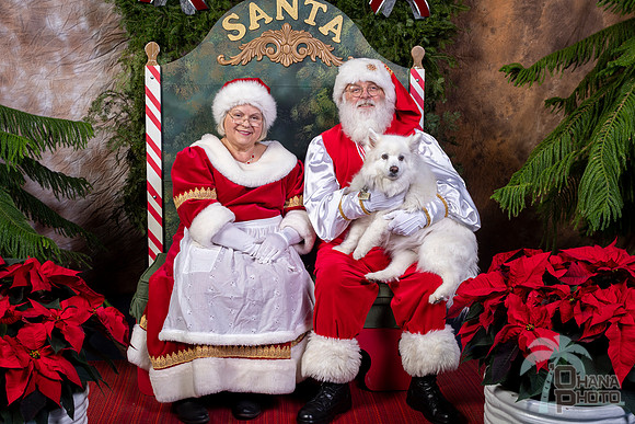 SantaPaws2022-712