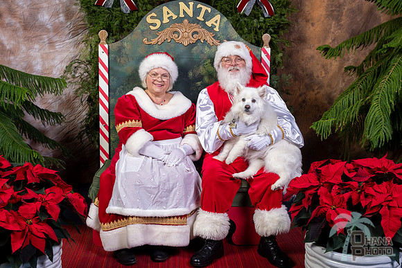 SantaPaws2022-711