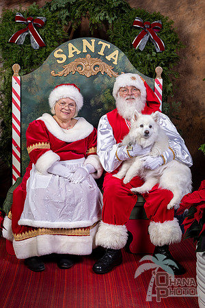 SantaPaws2022-716