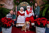 SantaPaws2022-722