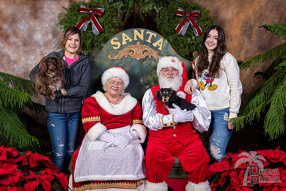 SantaPaws2022-746
