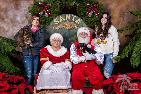SantaPaws2022-747
