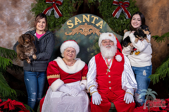 SantaPaws2022-752