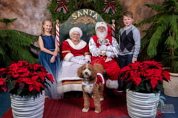SantaPaws2022-756