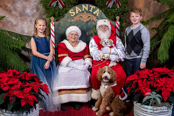 SantaPaws2022-754