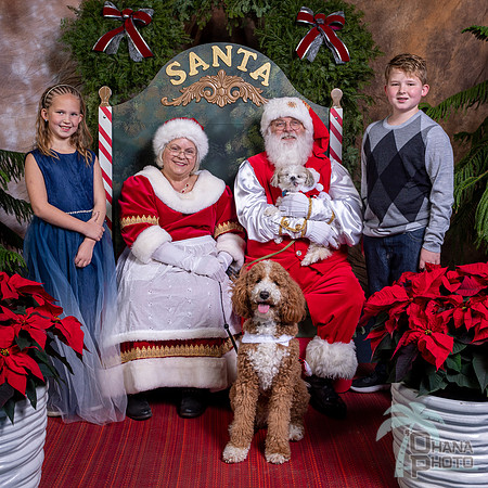 SantaPaws2022-762