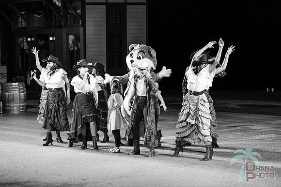 0ZF_7674