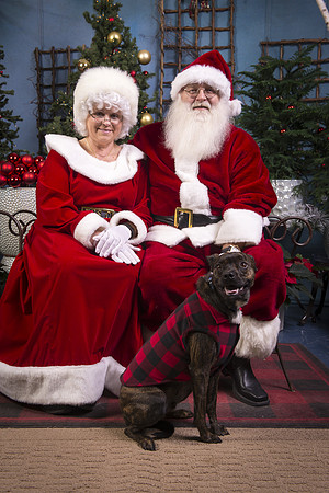 14Nov15-CDHS_Santa_Paws-147