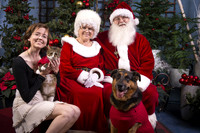 14Nov15-CDHS_Santa_Paws-056