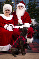 14Nov15-CDHS_Santa_Paws-144