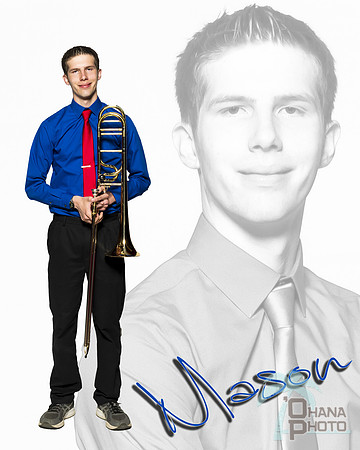Brown Mason