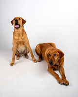 Benny and Rudy Sept2024