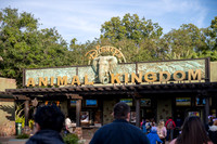 WDW January 2024