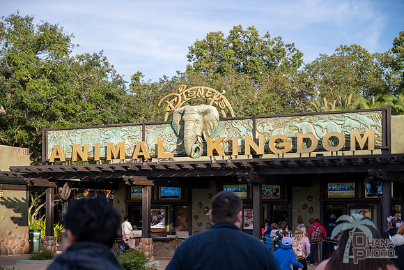 WDW_0145