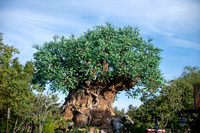 WDW_0157