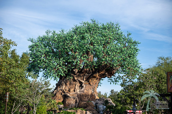 WDW_0157