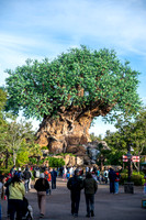 WDW_0152