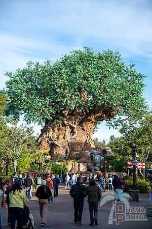 WDW_0152