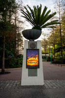 WDW_0177