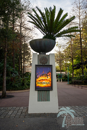 WDW_0177