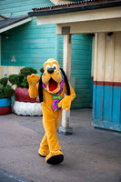 WDW_0205