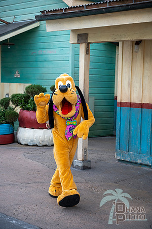 WDW_0205