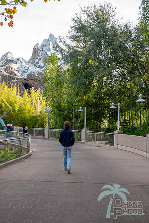 WDW_0217