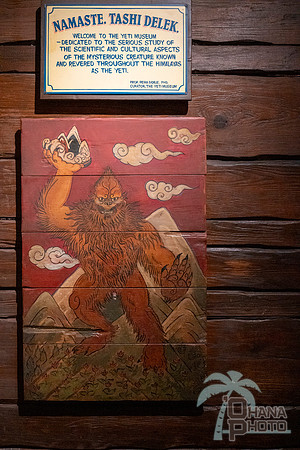 WDW_0235