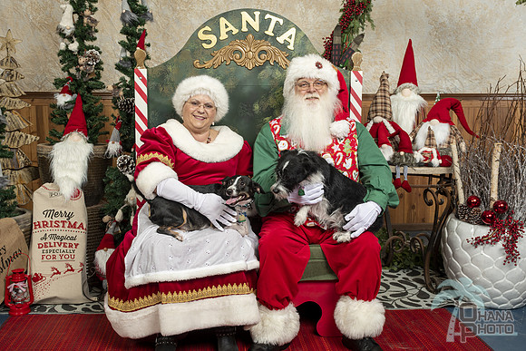 SantaPaws2019-0015