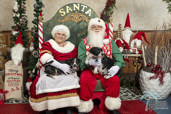 SantaPaws2019-0016