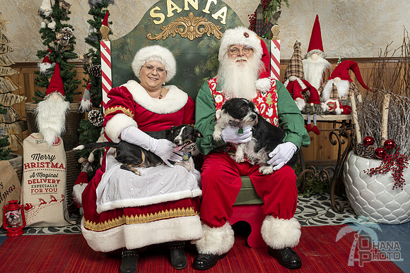 SantaPaws2019-0017