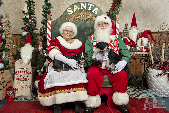 SantaPaws2019-0018